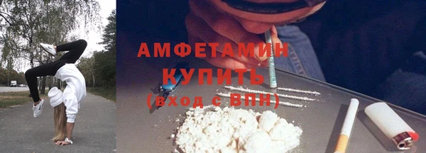 шишки Костерёво