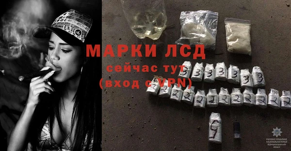 шишки Костерёво