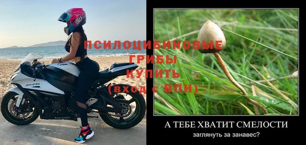 PSILOCYBIN Козловка
