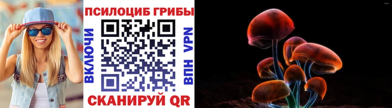 Галлюциногенные грибы мухоморы  дарк нет наркотические препараты  Красавино 