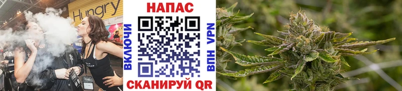сколько стоит  Красавино  Бошки Шишки THC 21% 